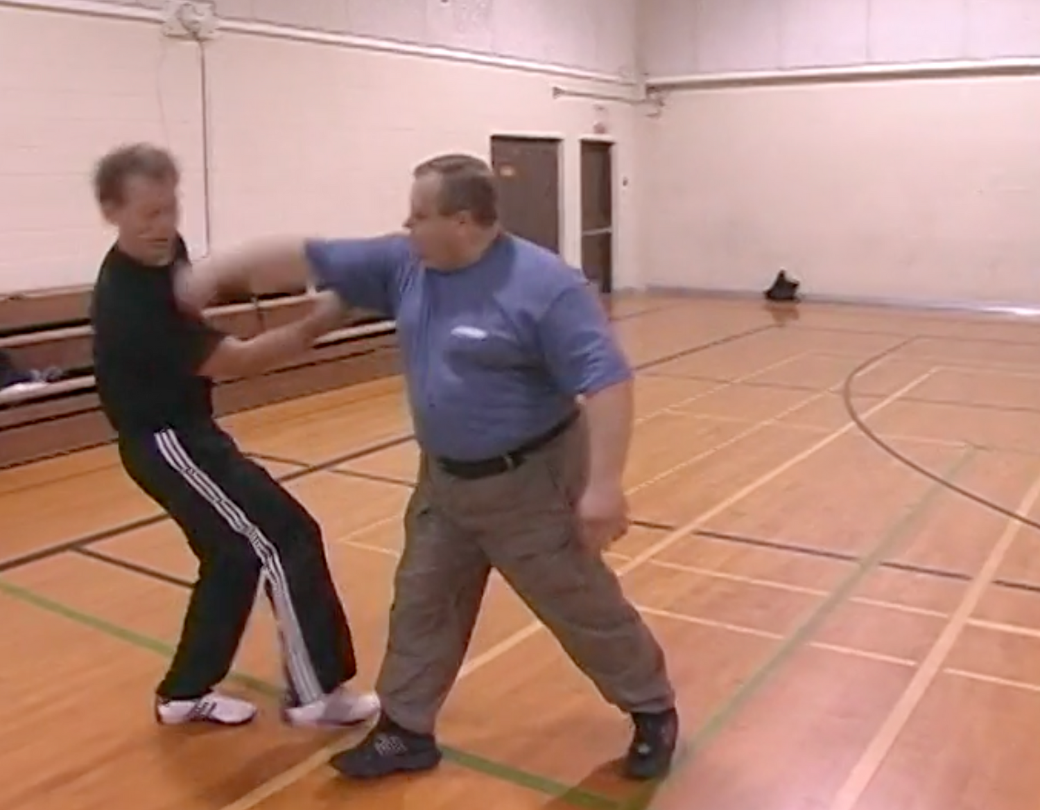 Systema: Summit of Masters 2 DVD Set