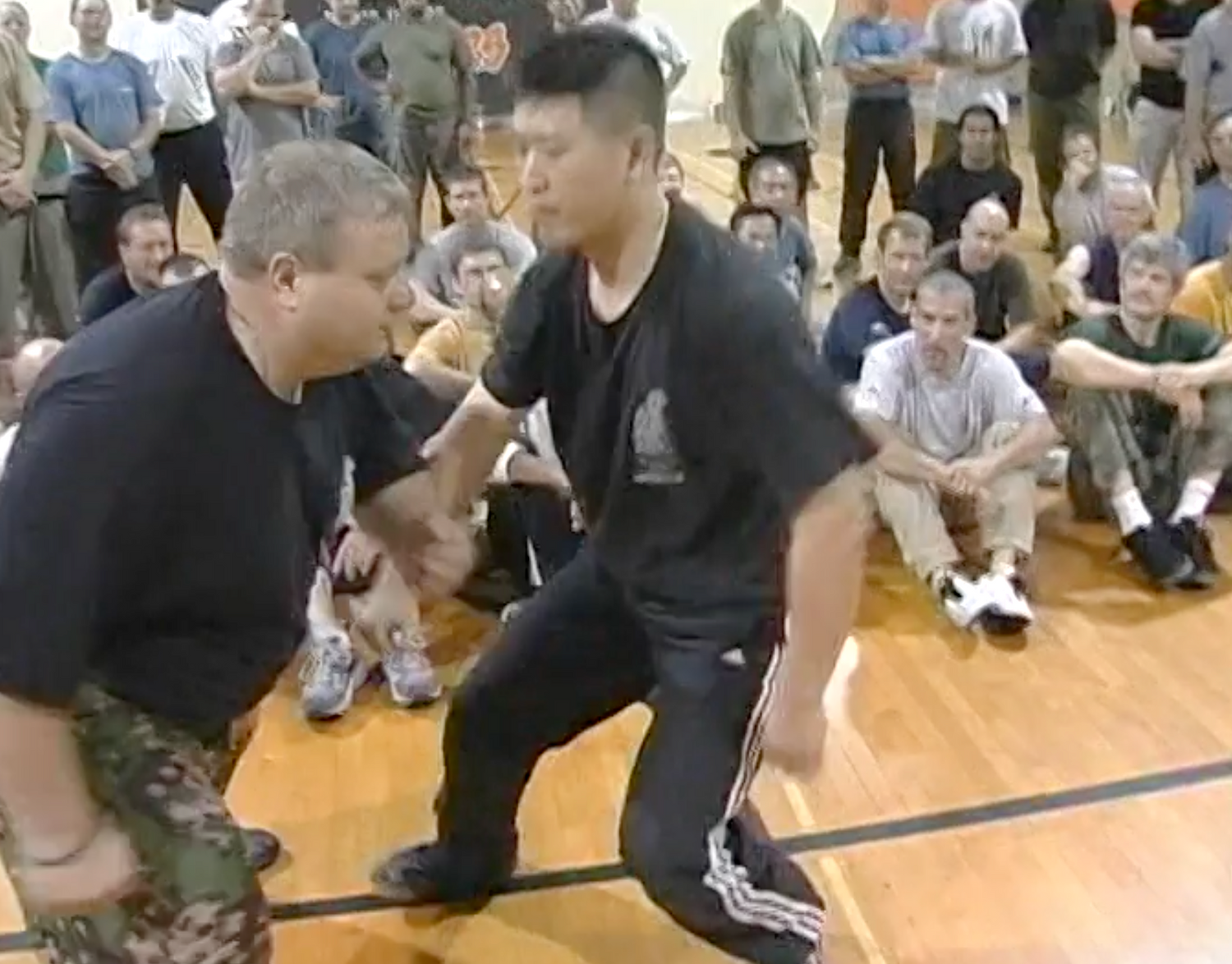 Systema: Summit of Masters 2 DVD Set