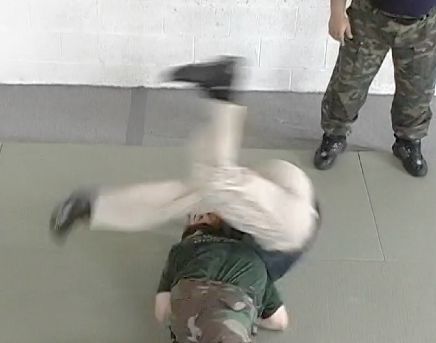 Wrestling: Systema Fundamentals DVD with Mikhail Ryabko