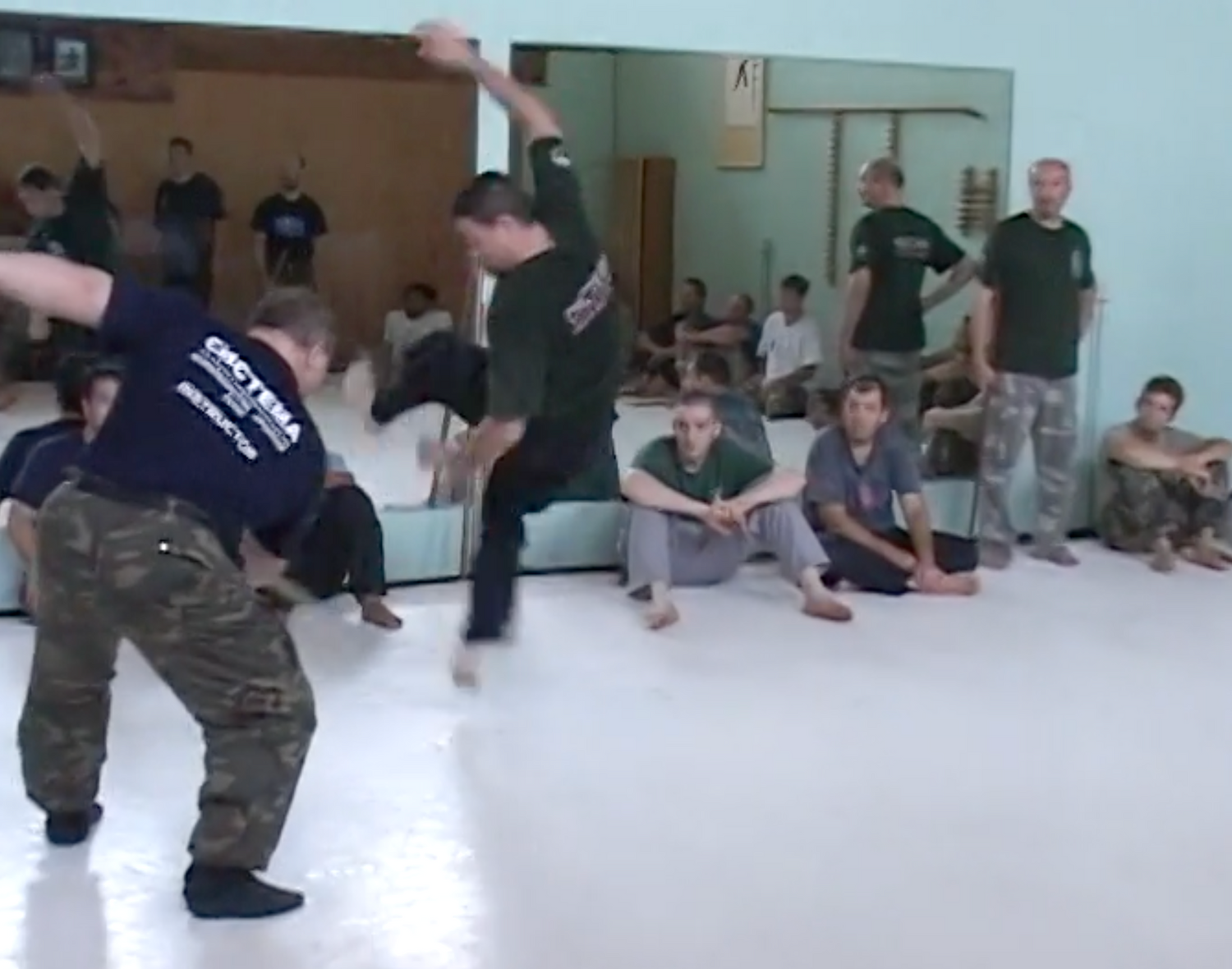 Systema Stick Seminars DVD by Mikhail Ryabko