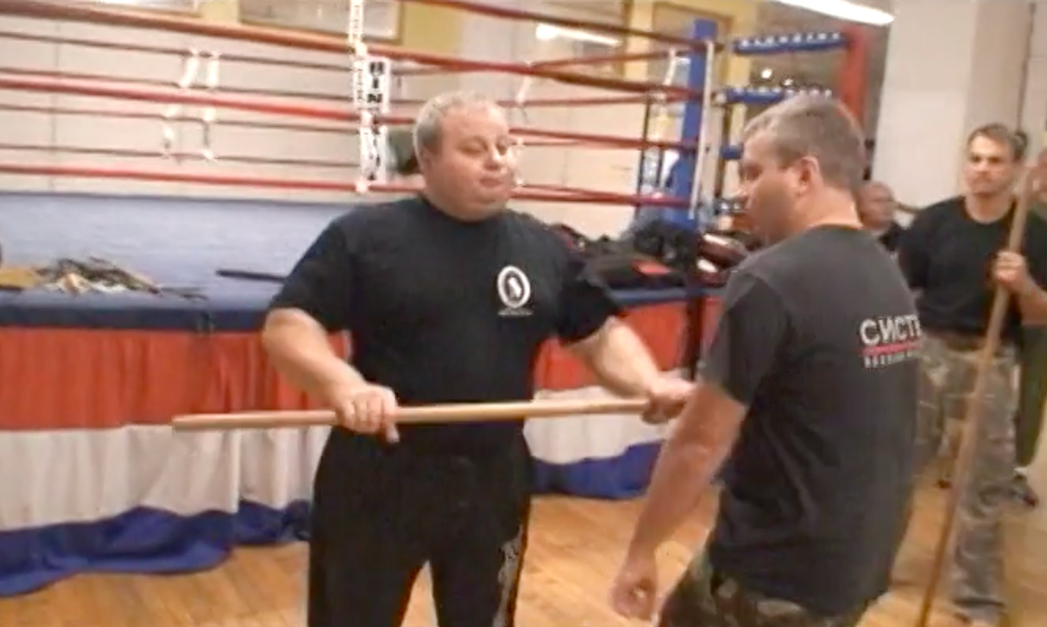 Systema Stick Seminars DVD by Mikhail Ryabko
