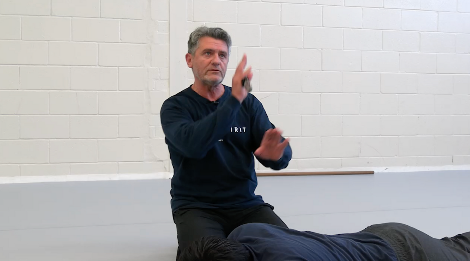 Systema: Functional Strength DVD by Vladimir Vasiliev