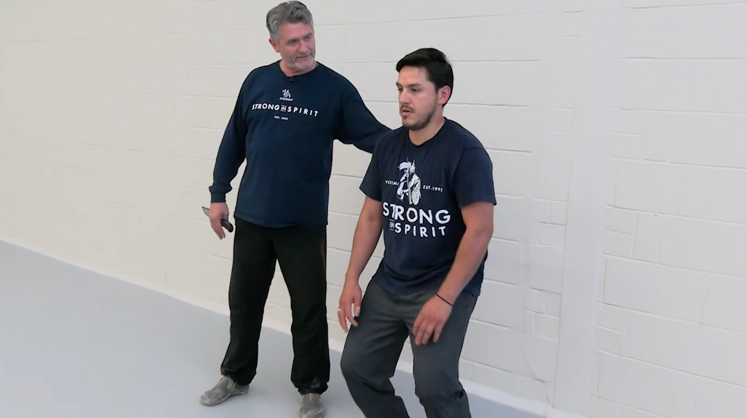 Systema: Functional Strength DVD by Vladimir Vasiliev