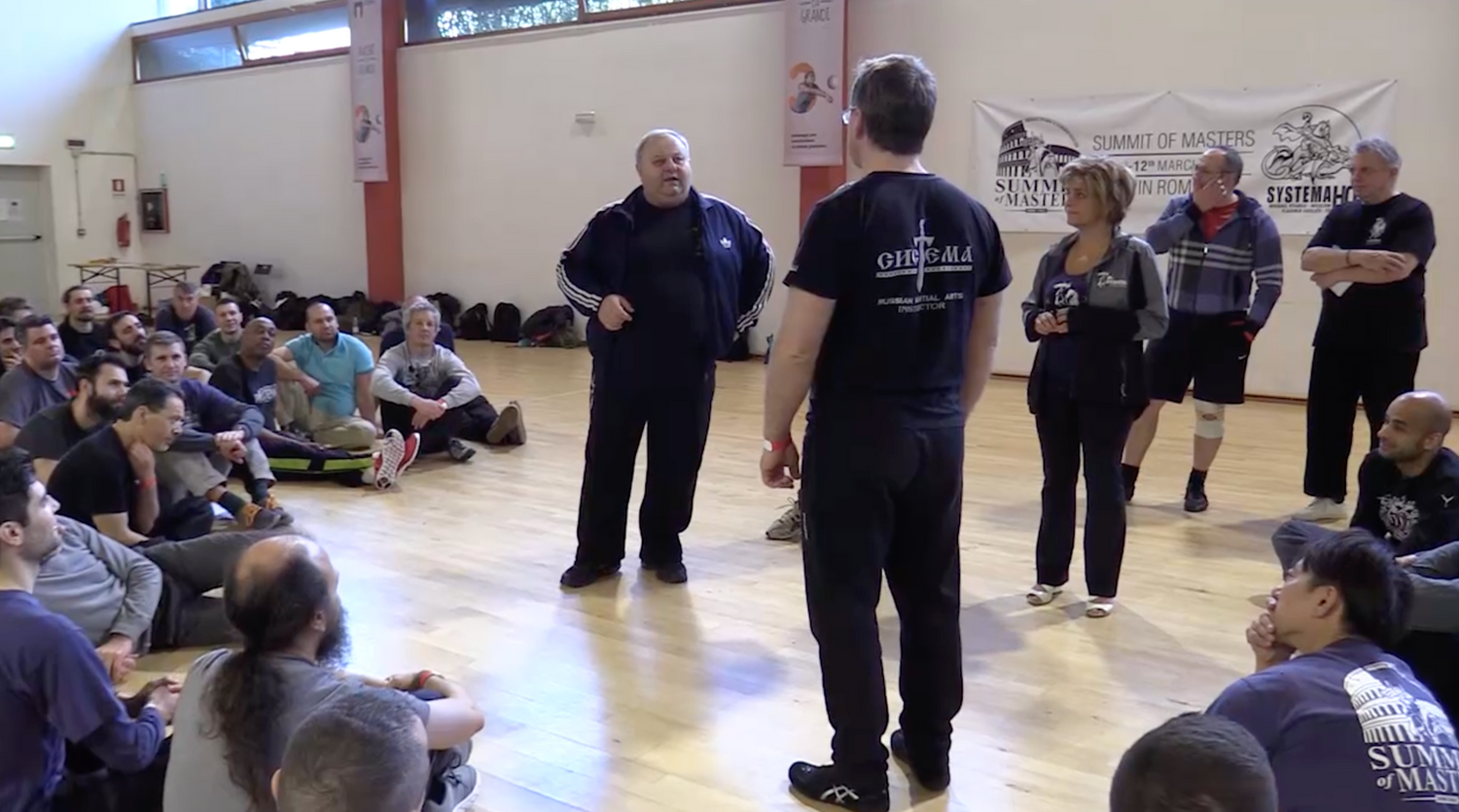 Systema: Visual Strikes & Control DVD by Mikhail Ryabko