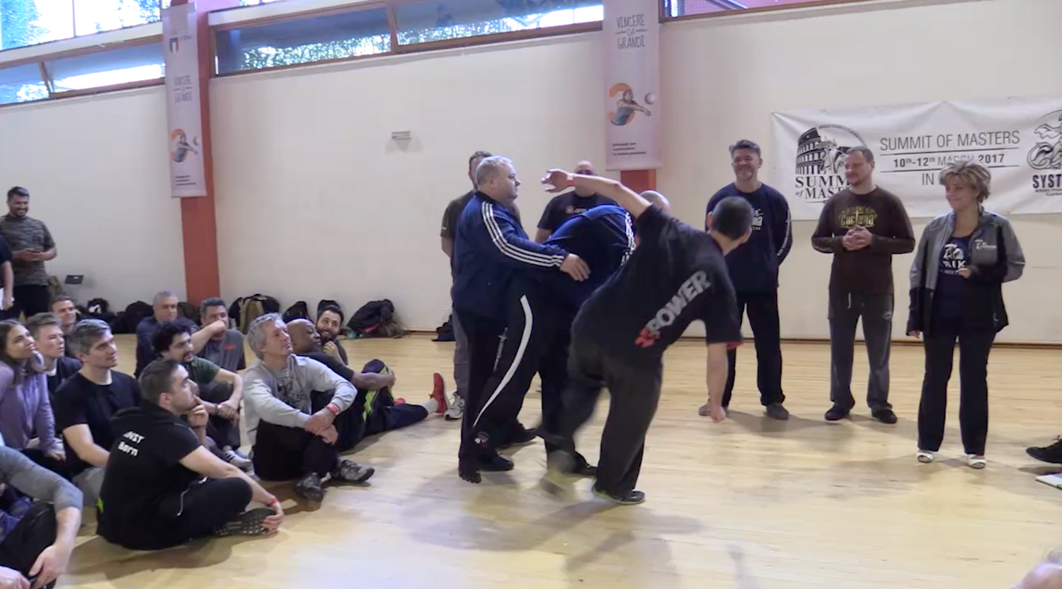 Systema: Visual Strikes & Control DVD by Mikhail Ryabko