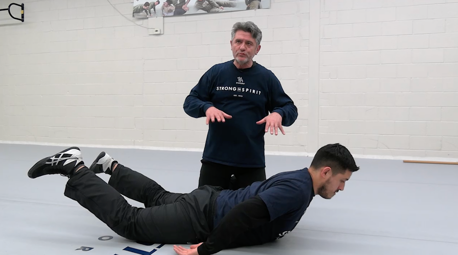 Systema: Heal the Back DVD by Vladimir Vasiliev