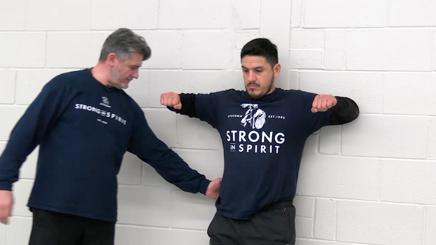 Systema: Heal the Back DVD by Vladimir Vasiliev