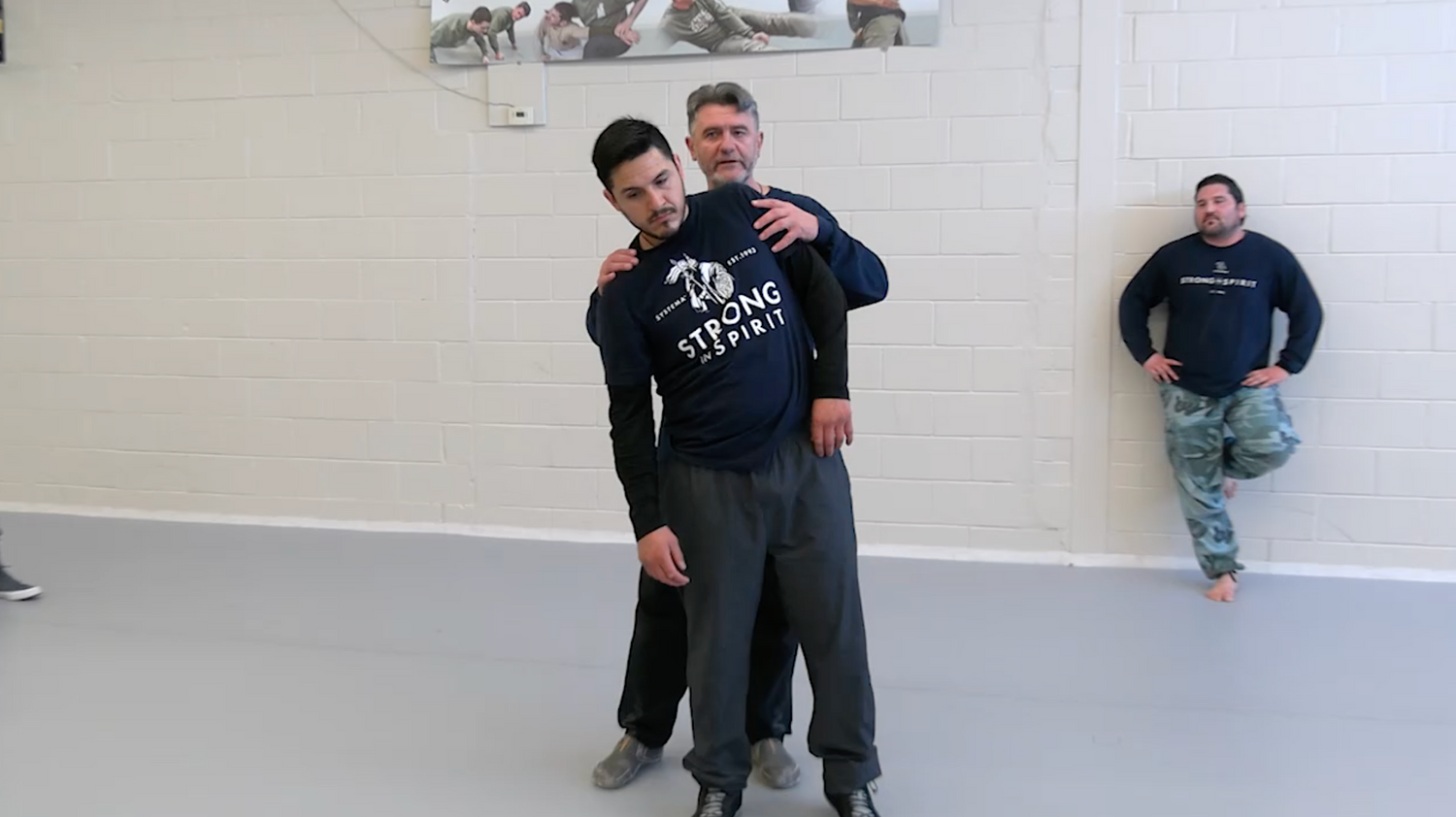 Systema: How to Roll & Fall DVD by Vladimir Vasiliev