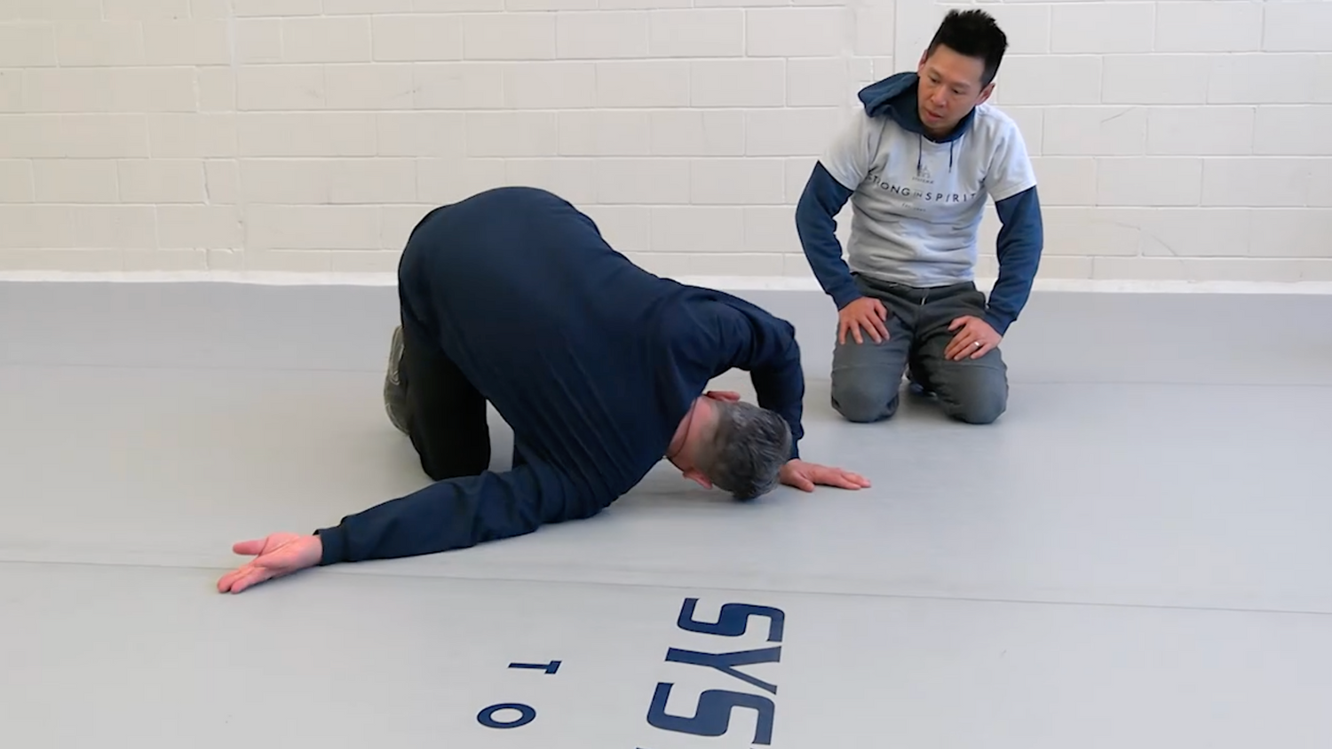 Systema: How to Roll & Fall DVD by Vladimir Vasiliev