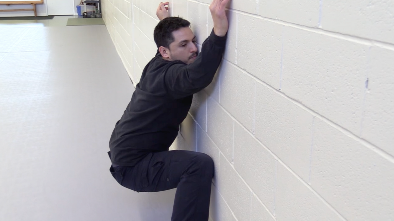 Systema: Wall Workout DVD by Eric Torres