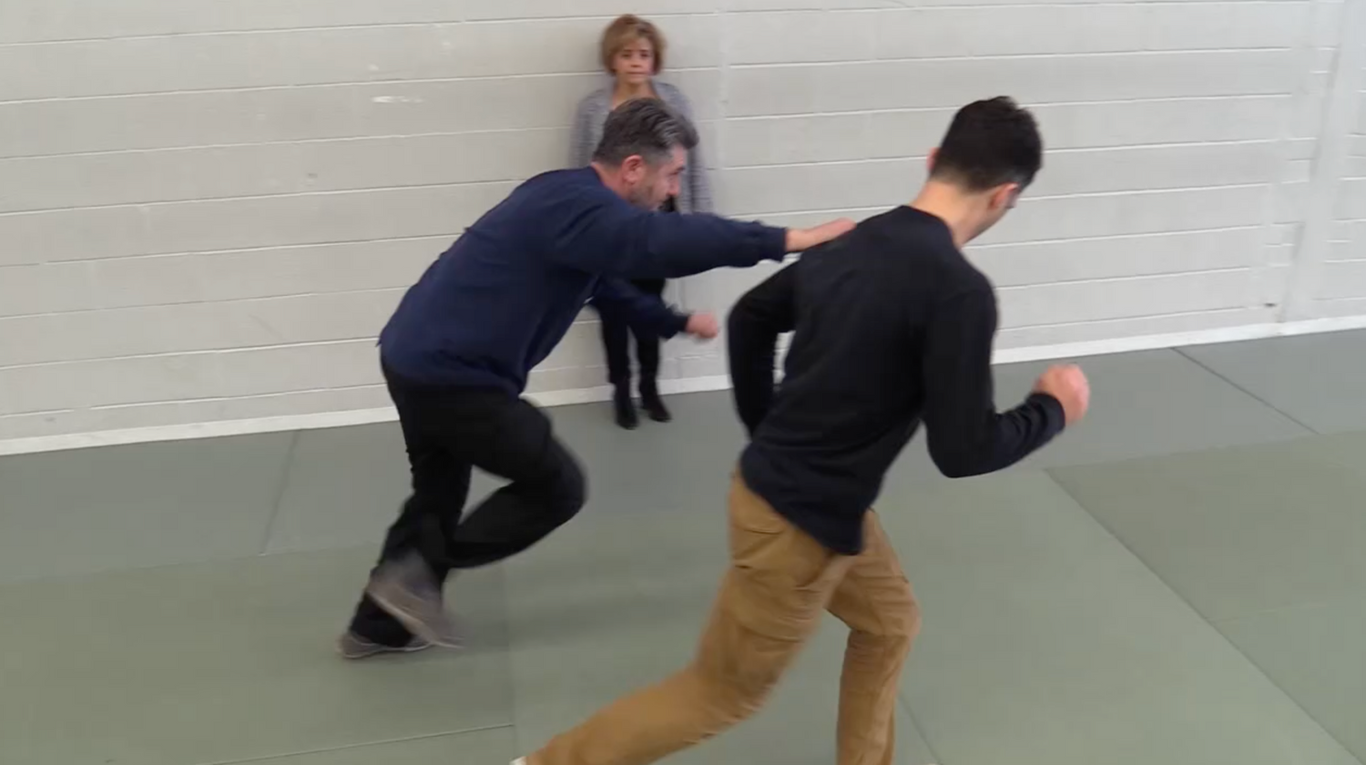 Systema: Bodyguard Lesson 1 & 2 DVD by Vladimir Vasiliev