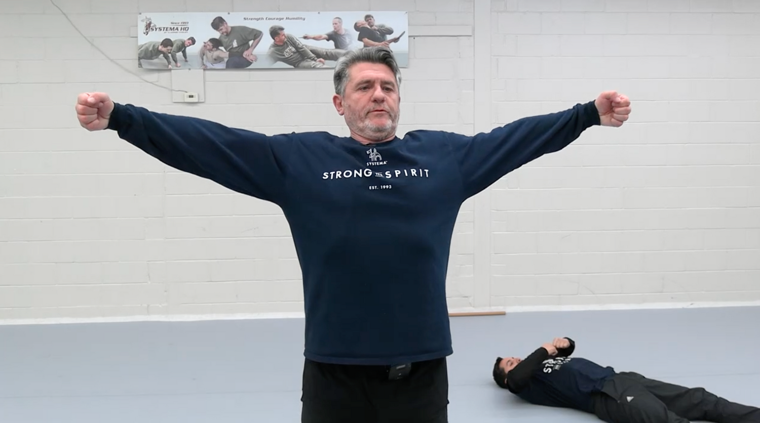 Systema: Endurance DVD by Vladimir Vasiliev