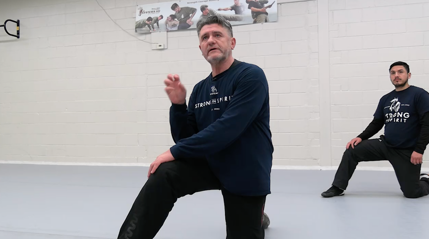 Systema: Heal the Knees DVD by Vladimir Vasiliev