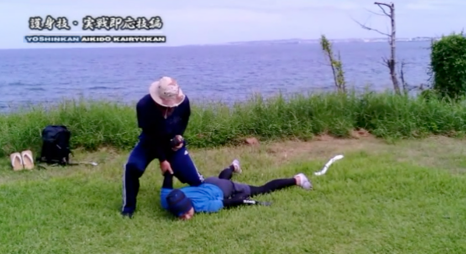 Combat Ready Aikido Skills DVD by Ryoichiro Higa (Preowned)