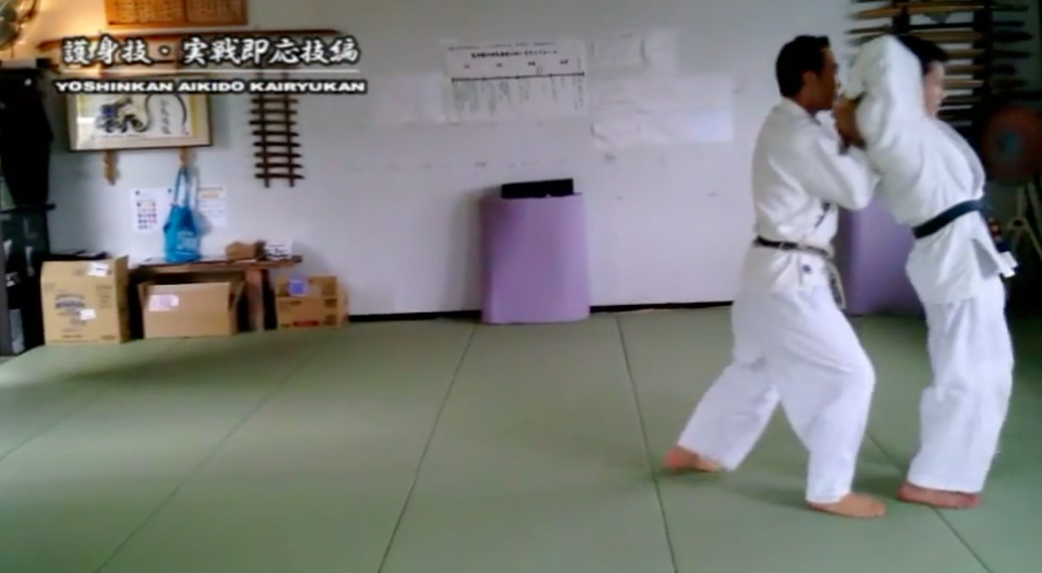 Combat Ready Aikido Skills DVD by Ryoichiro Higa (Preowned)