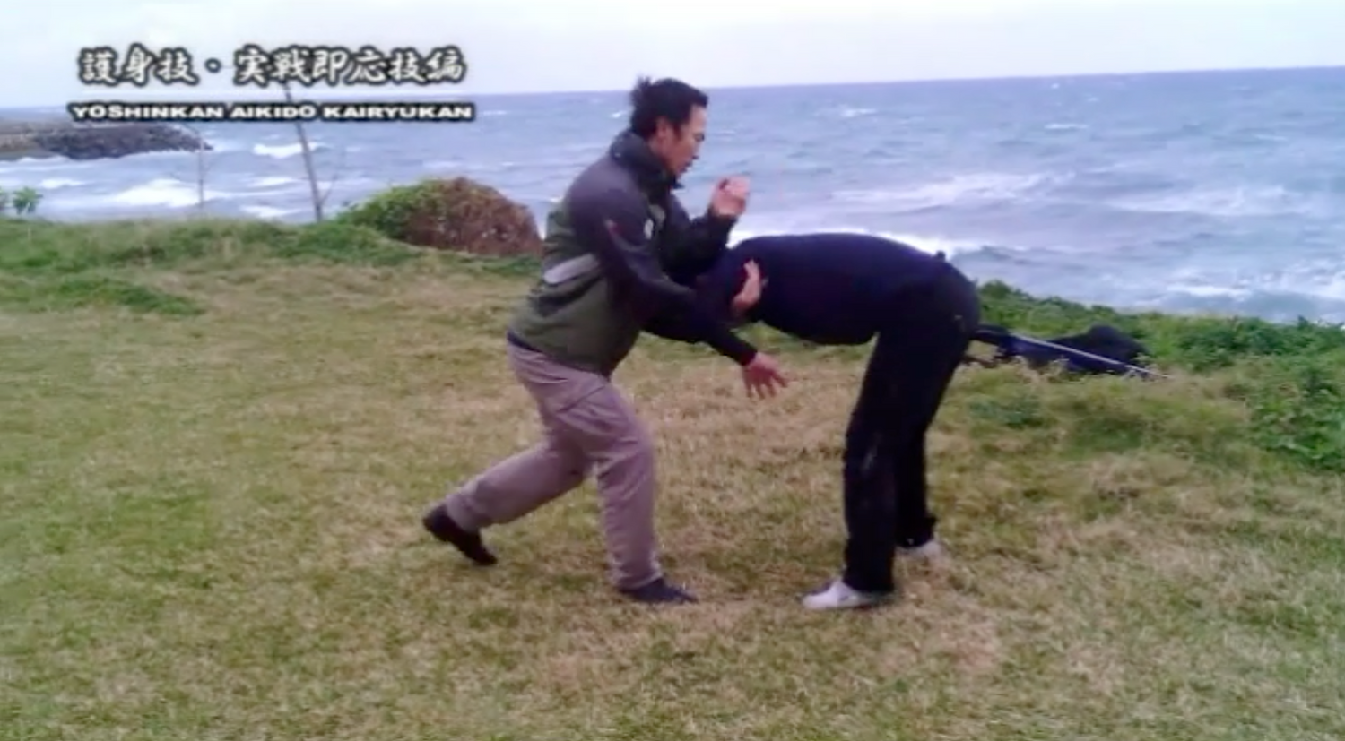 Combat Ready Aikido Skills DVD by Ryoichiro Higa (Preowned)