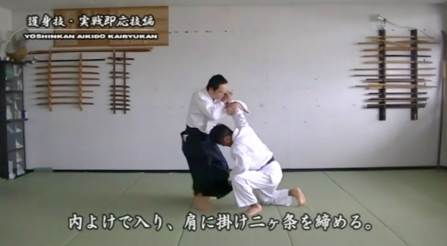 Combat Ready Aikido Skills DVD by Ryoichiro Higa (Preowned)
