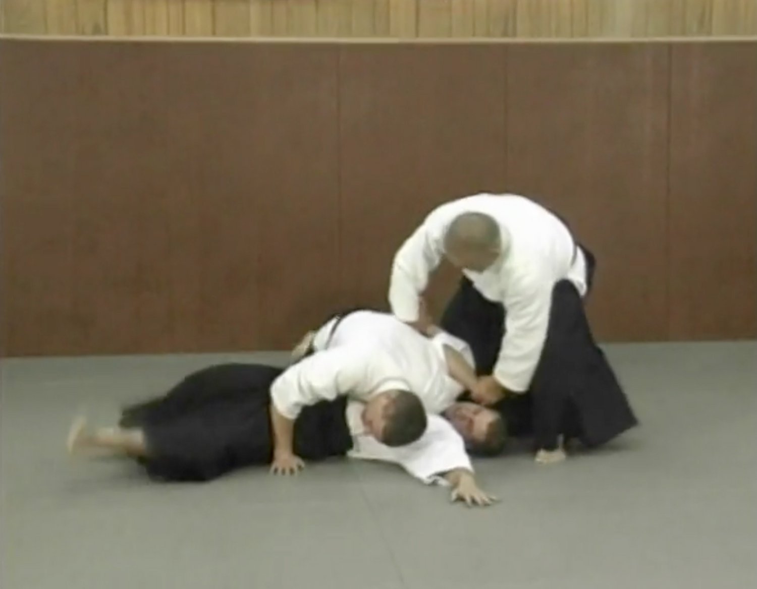Self Defense Aikido DVD by Toshishiro Obata