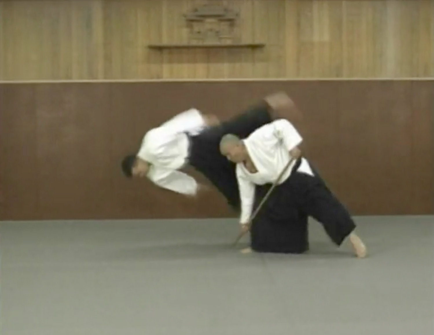 Self Defense Aikido DVD by Toshishiro Obata