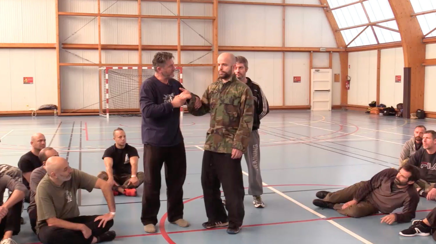 Systema: Grabs & Counters 2 DVD Set by Vladimir Vasiliev