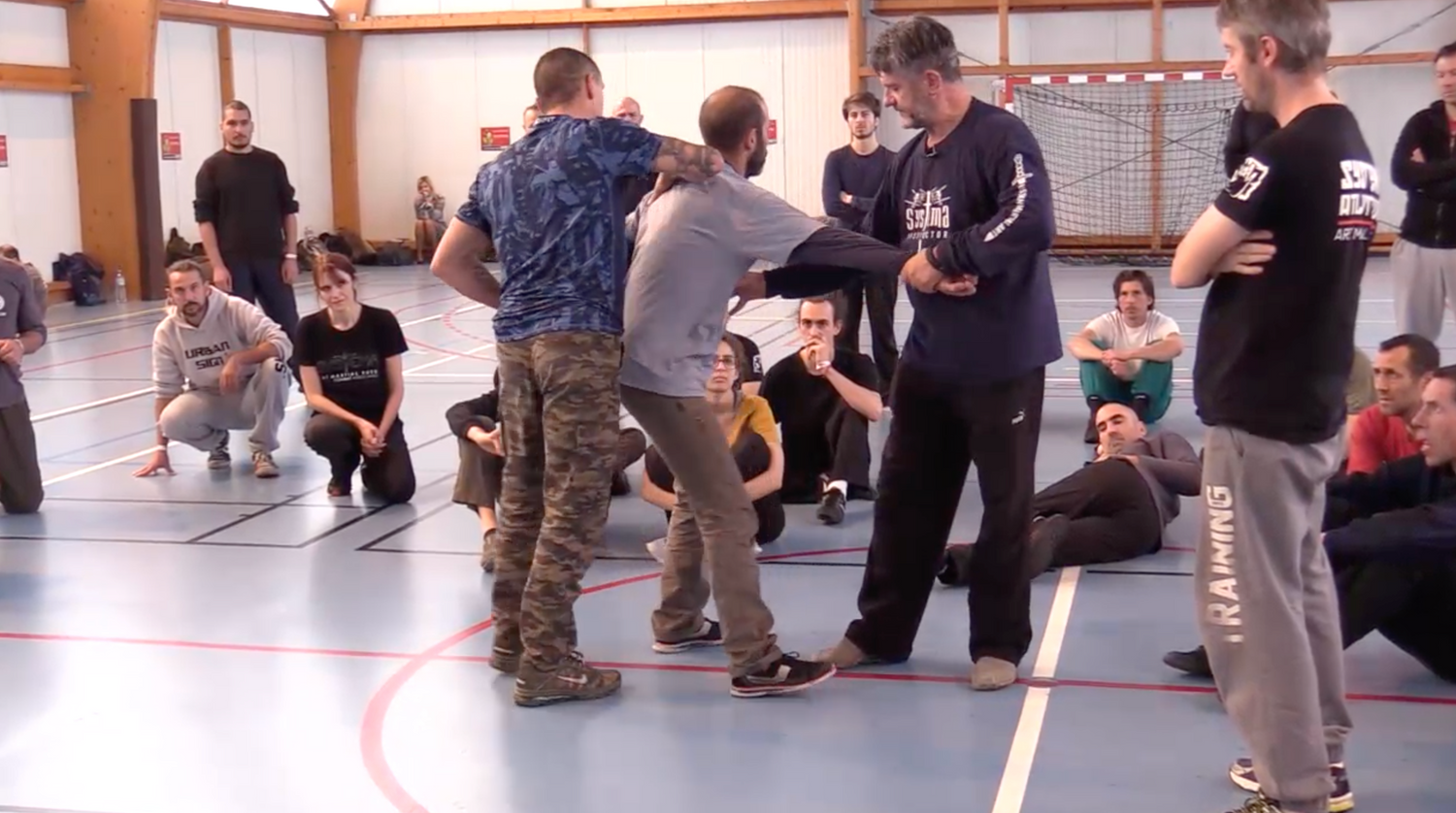 Systema: Grabs & Counters 2 DVD Set by Vladimir Vasiliev