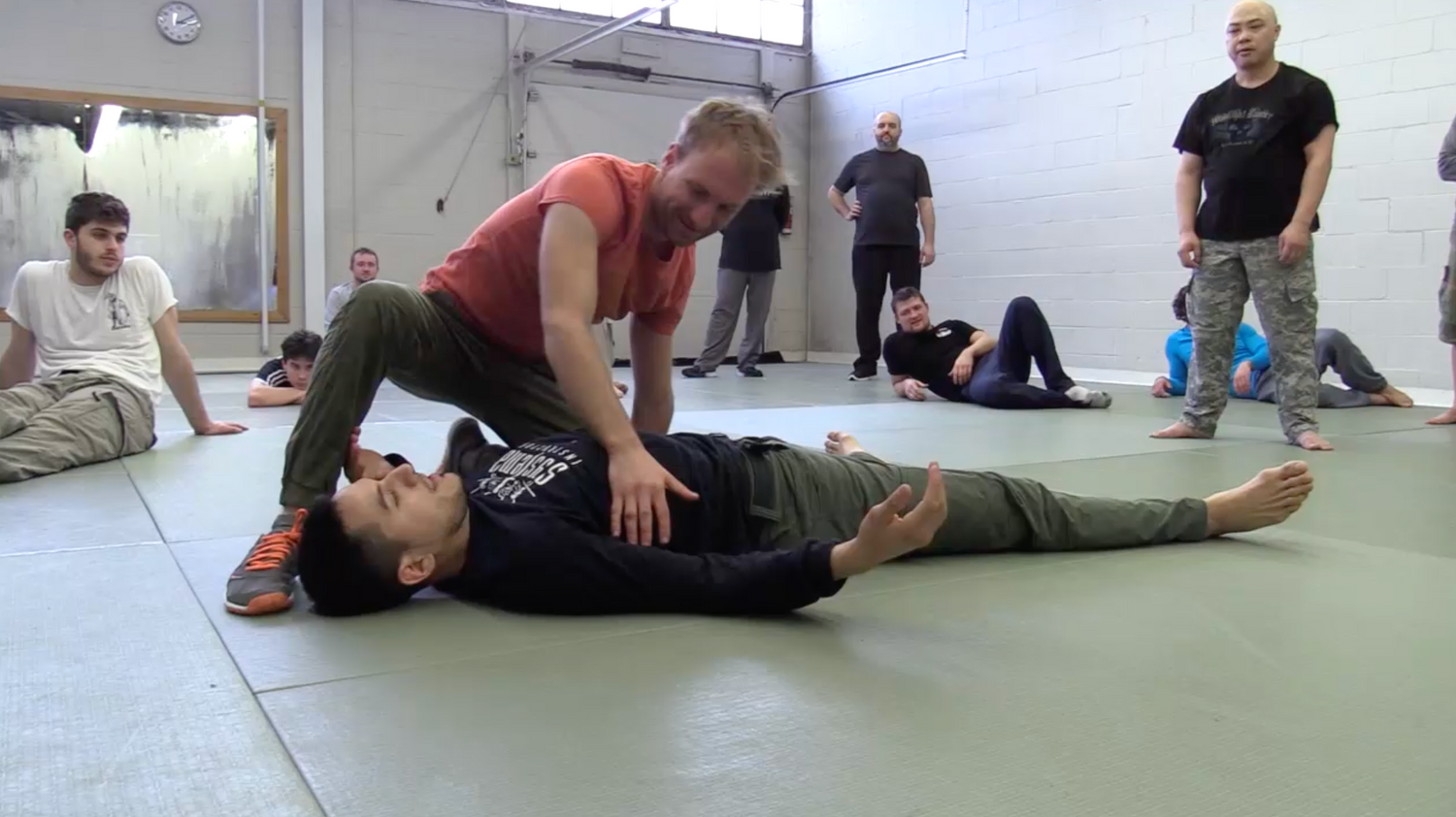 Systema: Dynamics of Ground Work DVD by Hoy Chan & Eric Torres