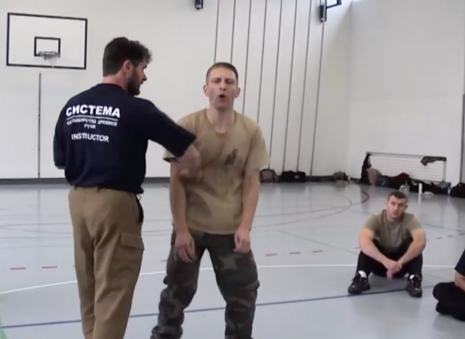 Systema: Punches, Kicks, and Multiple Opponents DVD by Vladimir Vasiliev