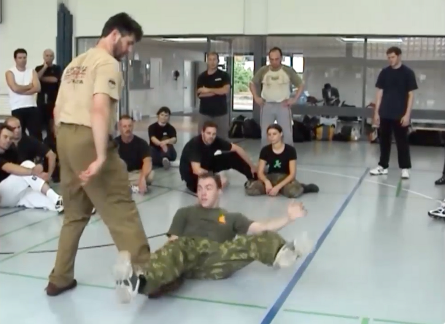 Systema: Punches, Kicks, and Multiple Opponents DVD by Vladimir Vasiliev