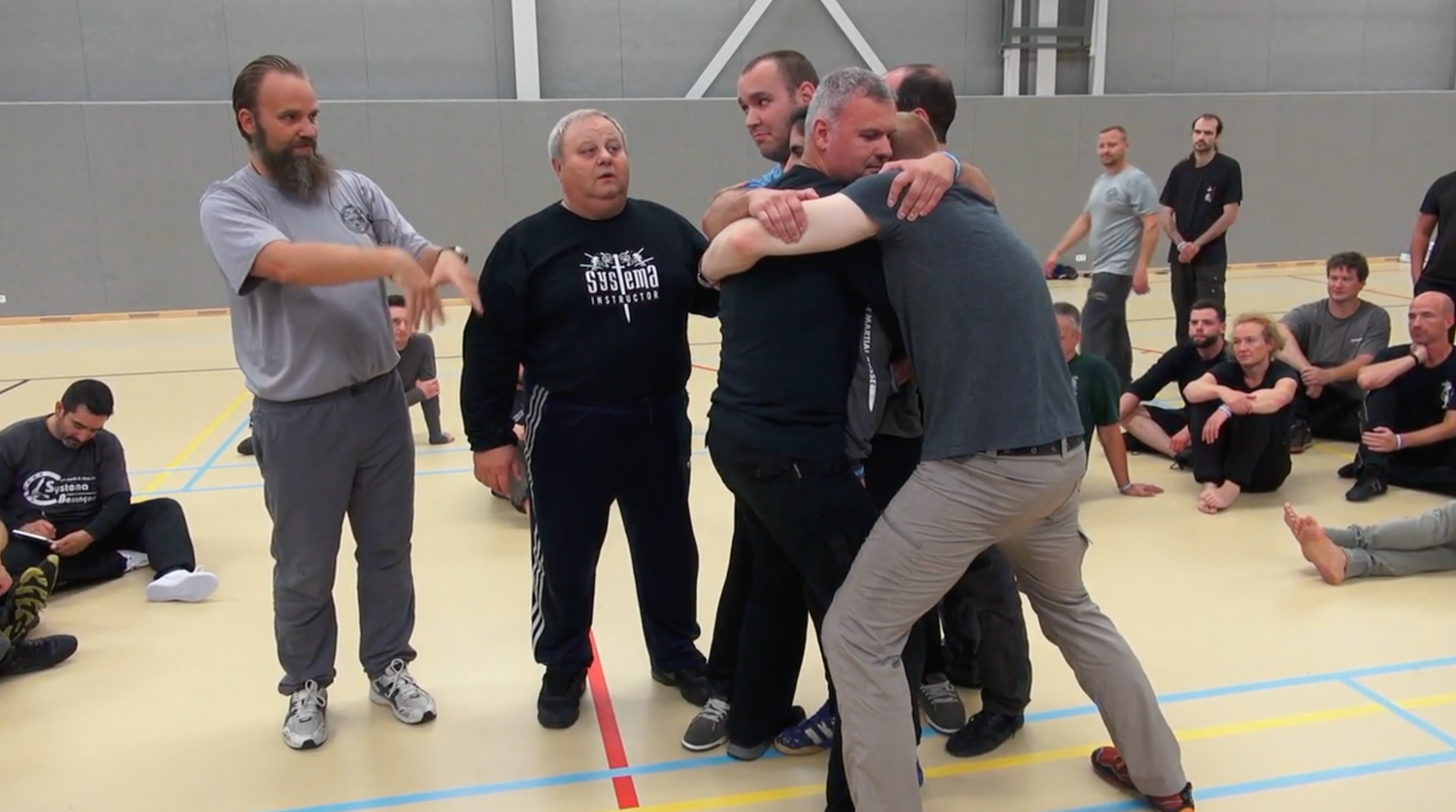 Systema: Work in Limited Space DVD by Mikhail Ryabko