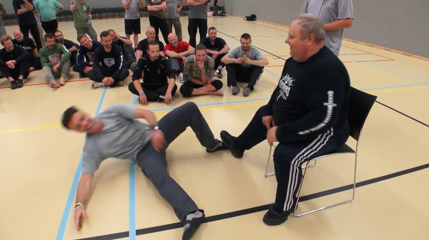 Systema: Work in Limited Space DVD by Mikhail Ryabko