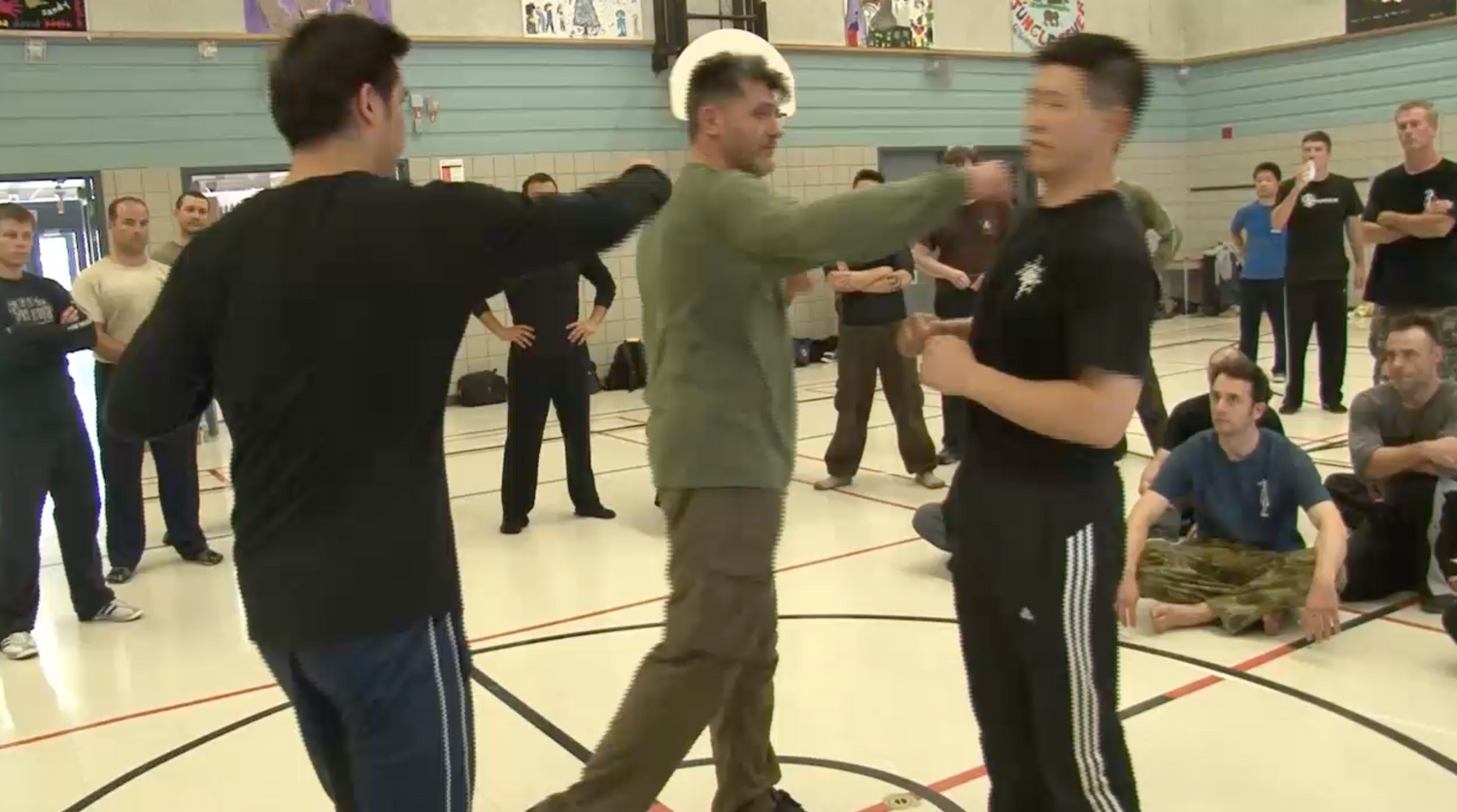 Systema: Multiple Attackers DVD by Vladimir Vasiliev