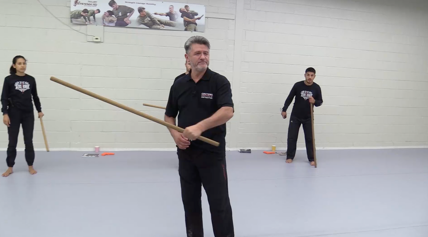 Systema: Multitasking DVD by Vladimir Vasiliev