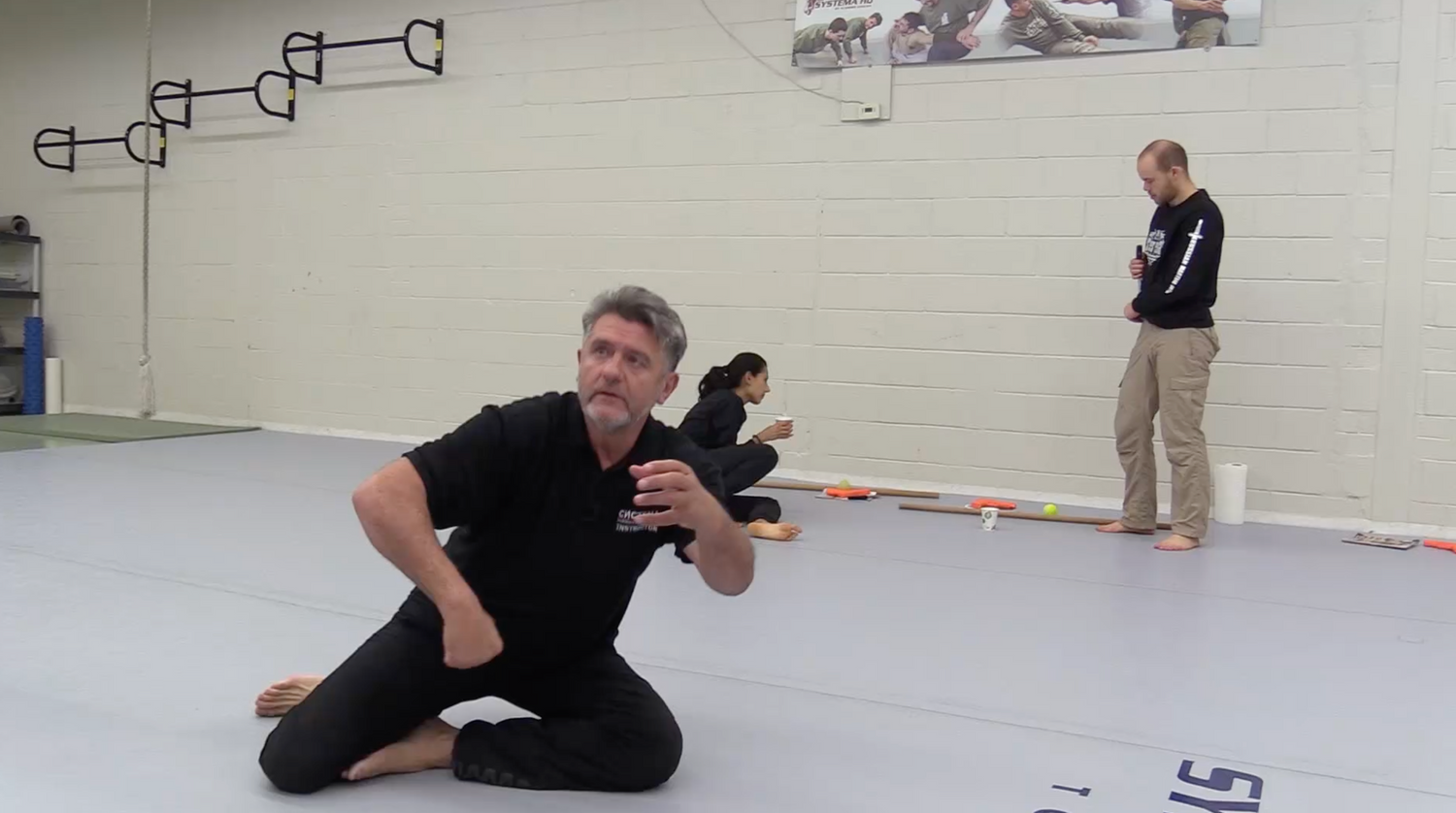 Systema: Multitasking DVD by Vladimir Vasiliev