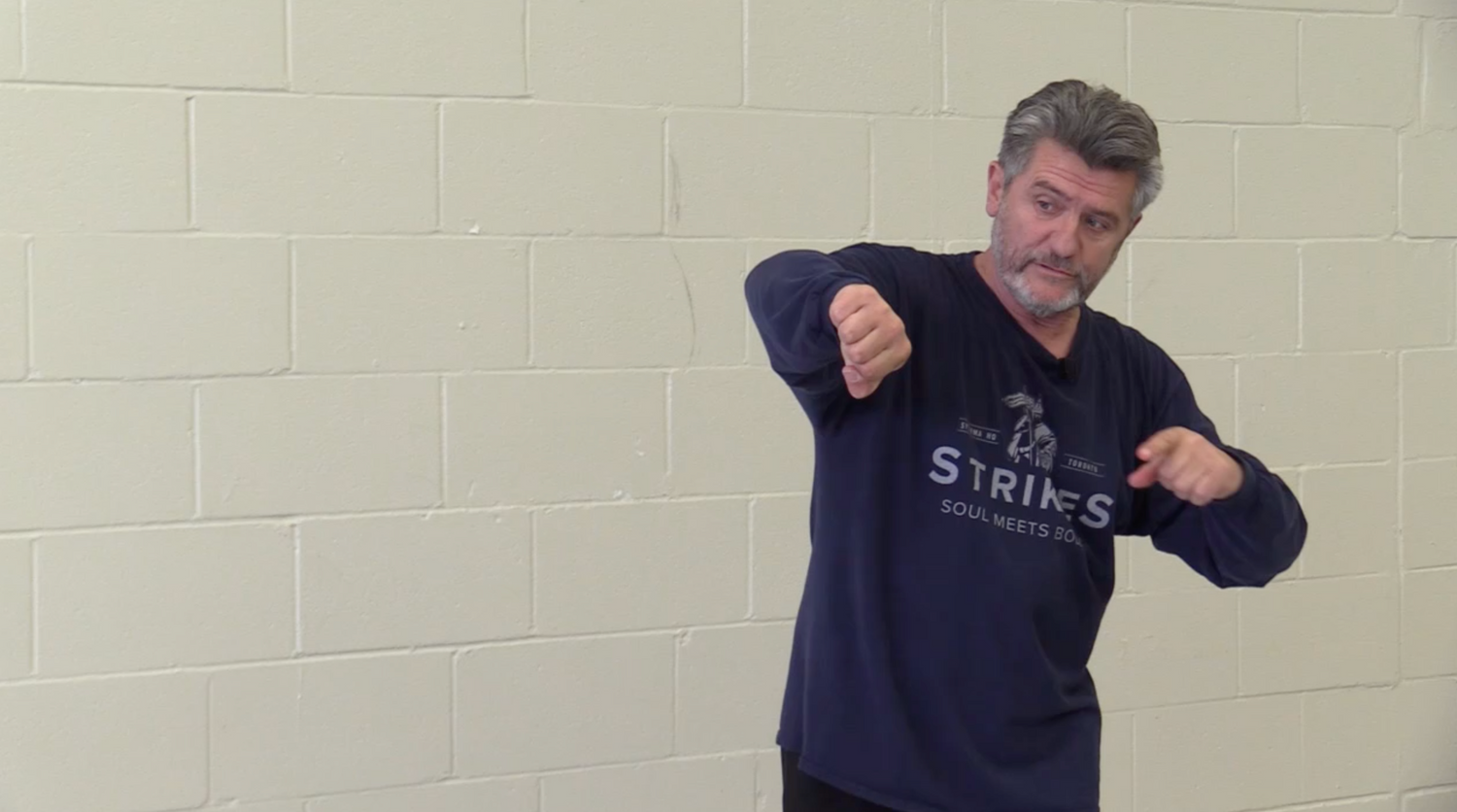 Systema: Strikes Solo DVD by Vladimir Vasiliev