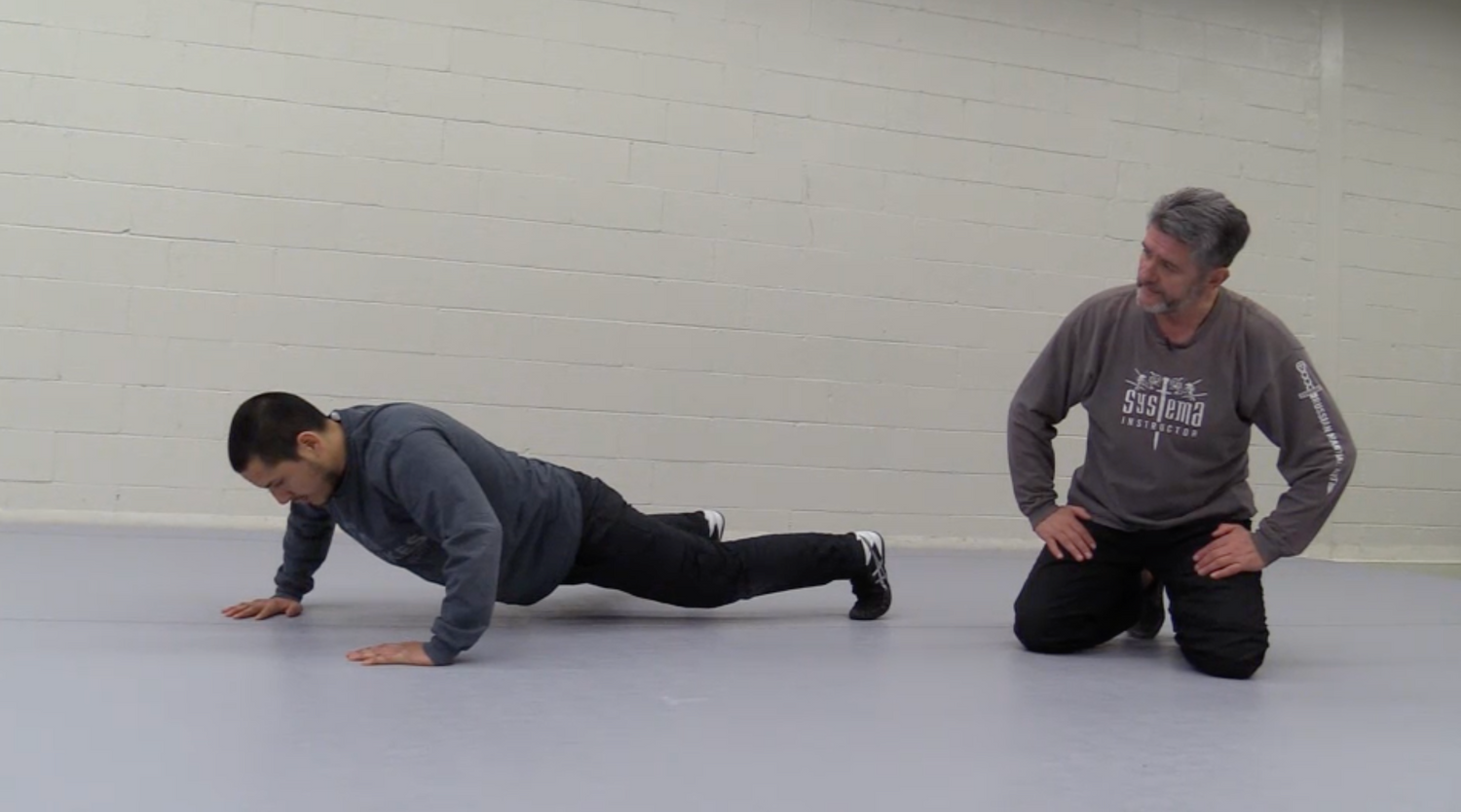 Systema: Fatigue DVD by Vladimir Vasiliev