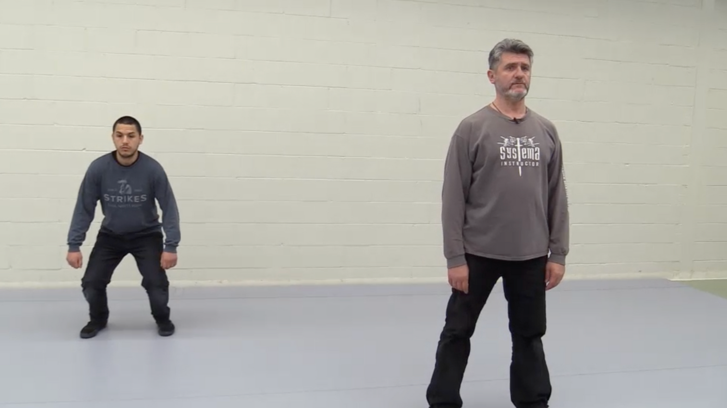 Systema: Fatigue DVD by Vladimir Vasiliev