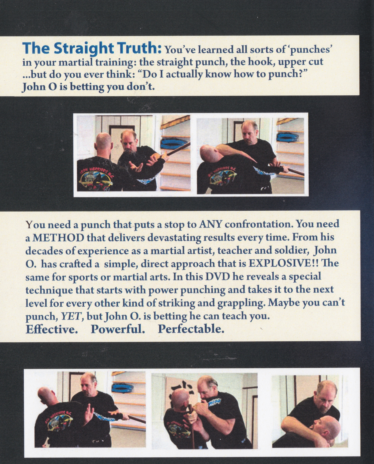 Explosive Punching: The Vertical Drop DVD by John Ottenberg