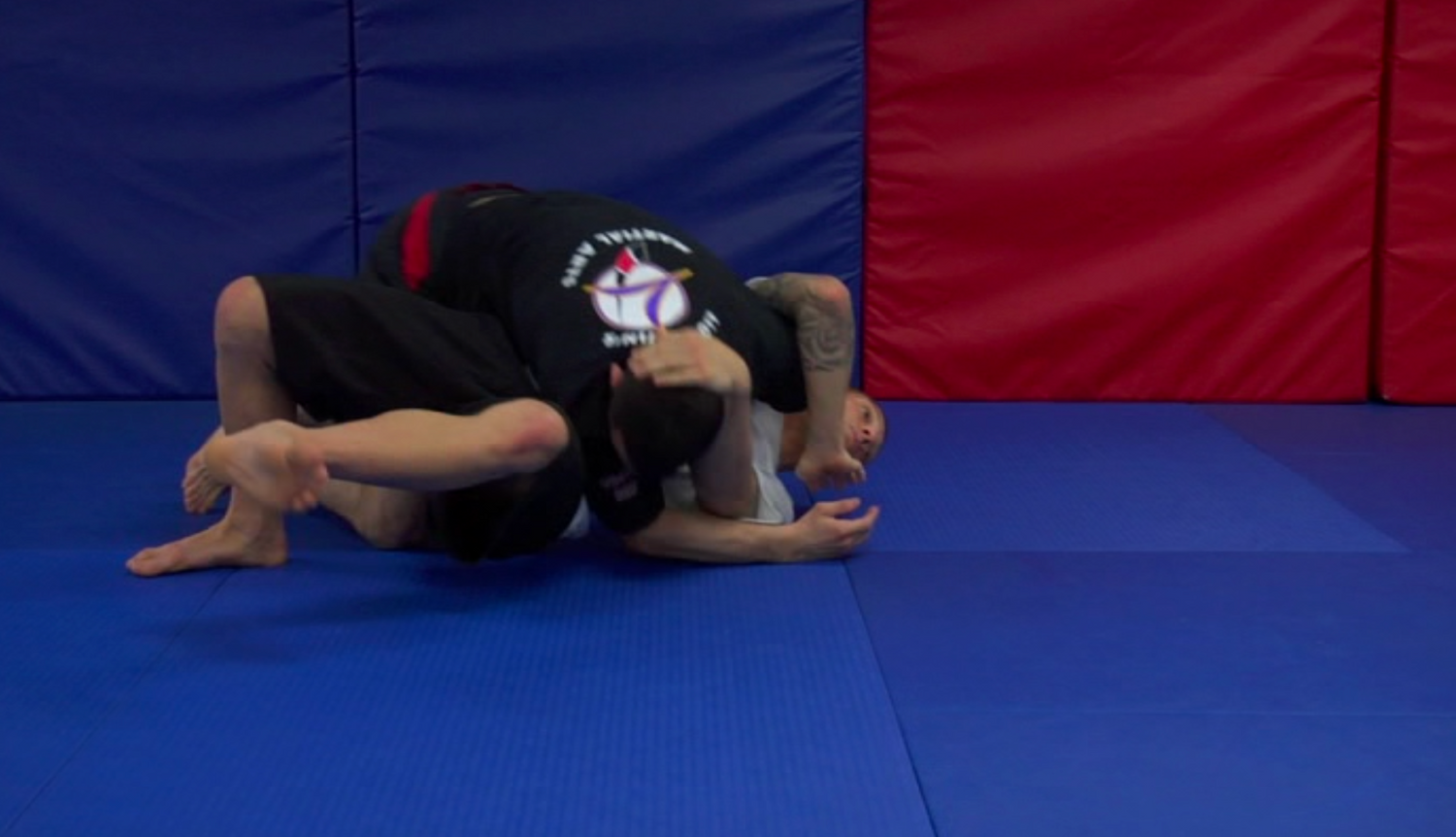 How to Master No Gi Grappling 6 DVD Set by Mike Fowler (Preowned)