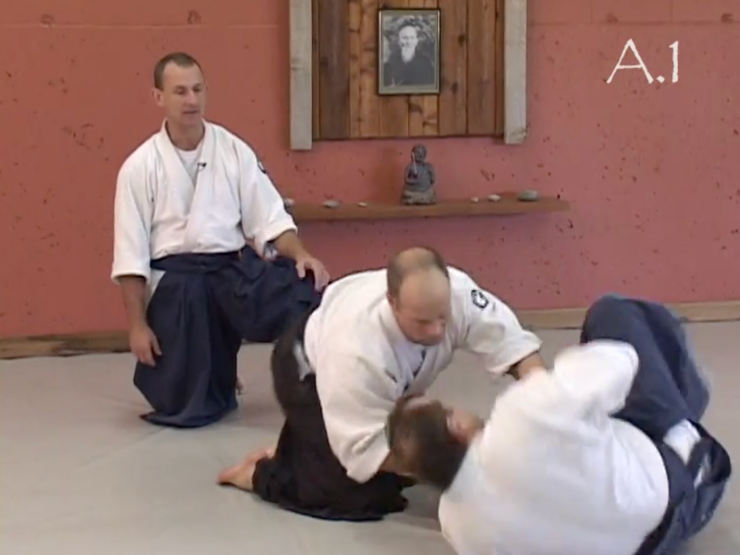 Aikido From the Core: Postural Conditioning for the Modern Martial Artist DVD by Daniel Kempling
