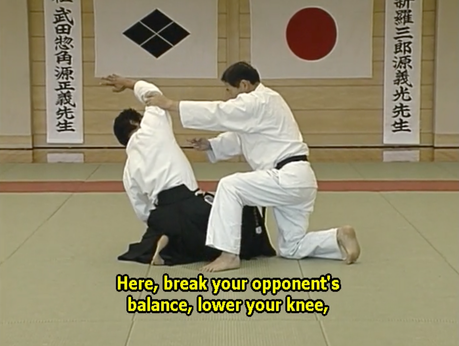 Daito Ryu Aikijujutsu Ikkajo Part 2 DVD by Katsuyuki Kondo (Preowned)