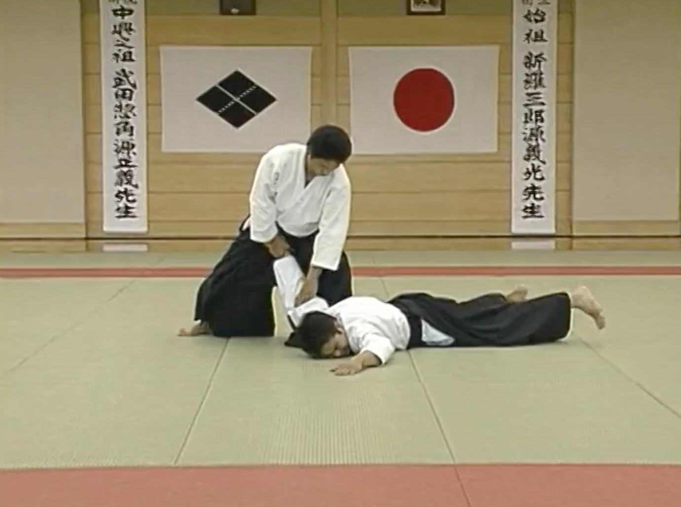 Daito Ryu Aikijujutsu Ikkajo Part 1 DVD by Katsuyuki Kondo (Preowned)