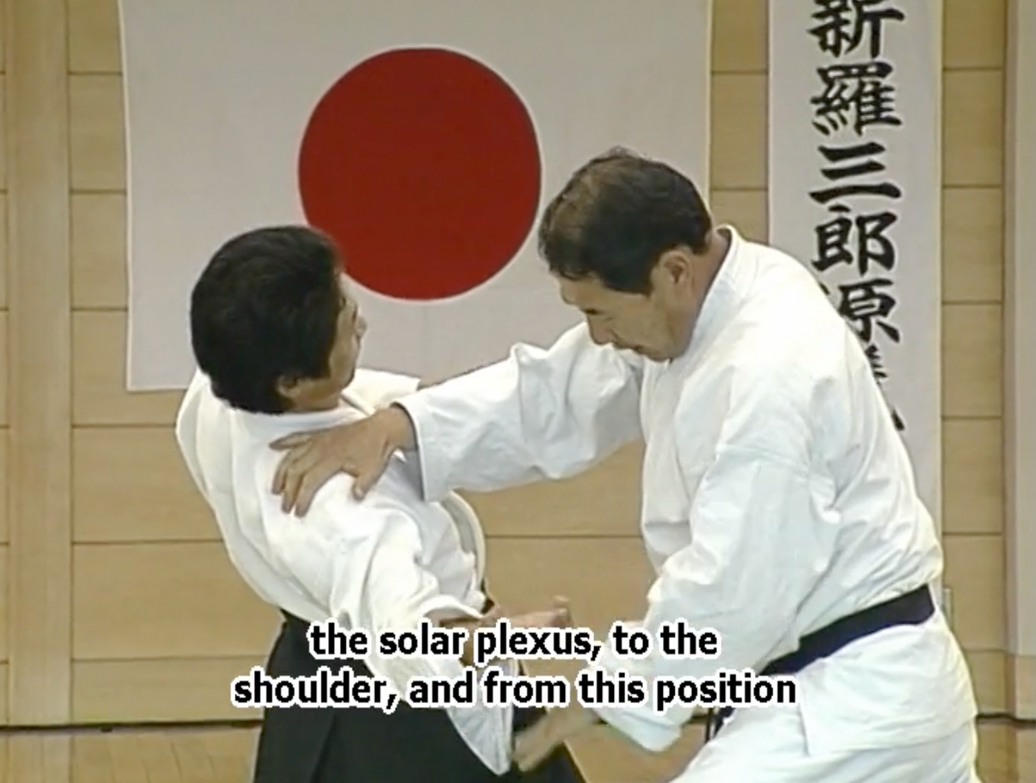 Daito Ryu Aikijujutsu Ikkajo Part 1 DVD by Katsuyuki Kondo (Preowned)