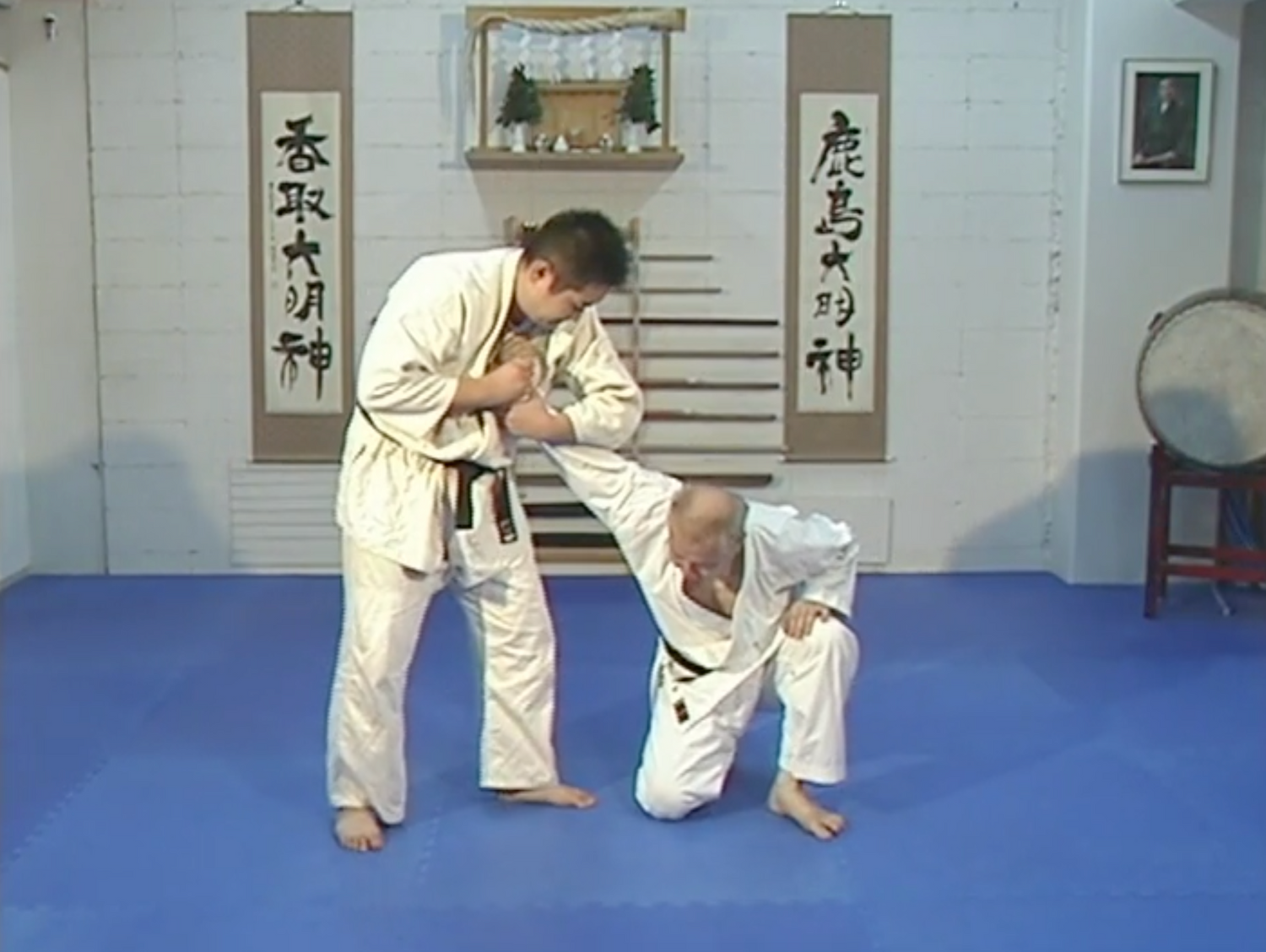 Ryushin Ryu Jujutsu Secrets DVD by Takao Saito