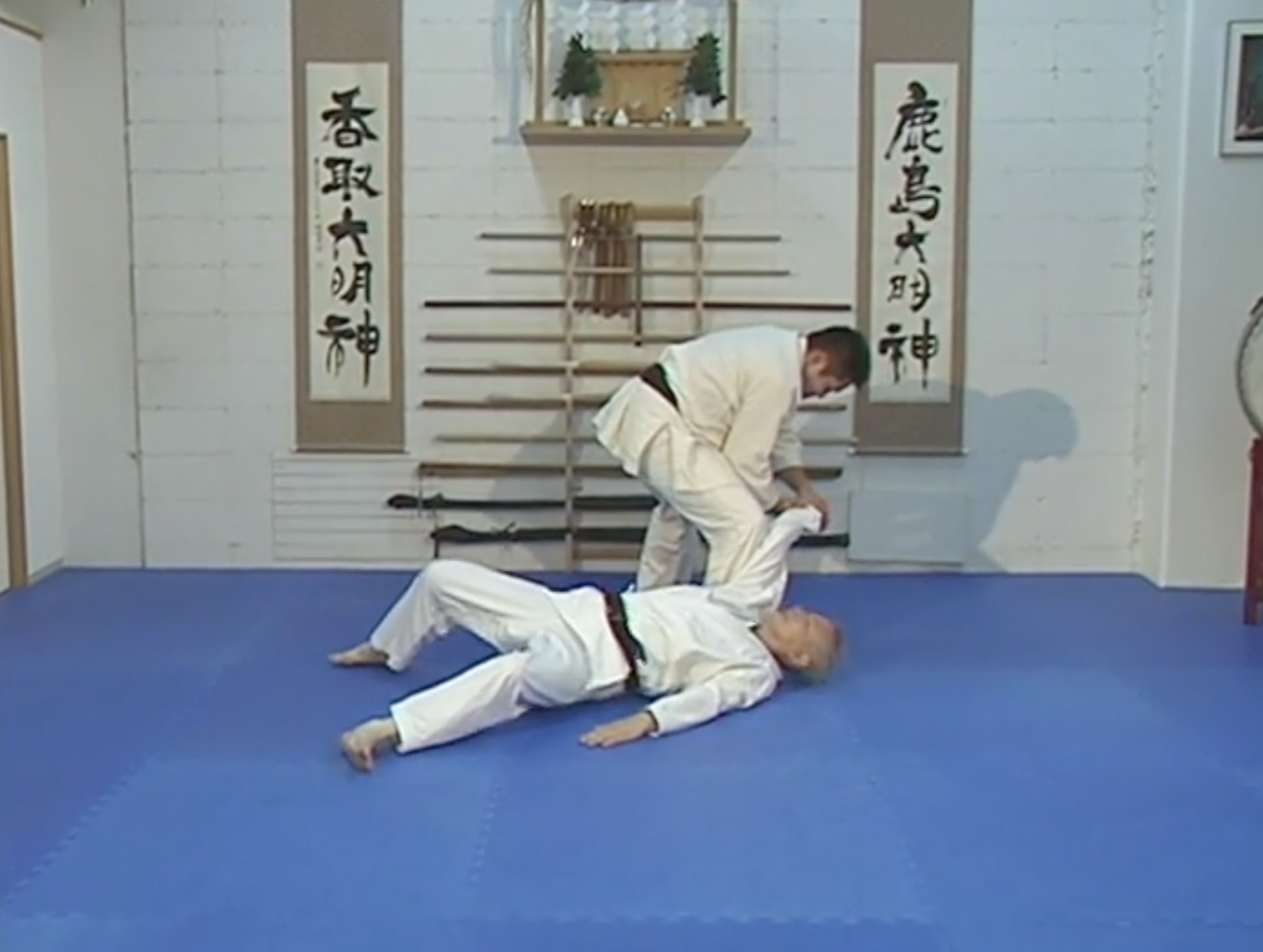 Ryushin Ryu Jujutsu Secrets DVD by Takao Saito