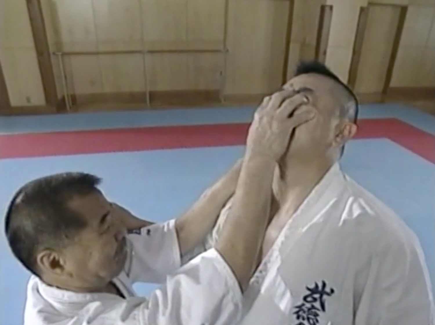 Fuji Ryu Taijutsu Self Defense DVD by Koshiro Tanaka