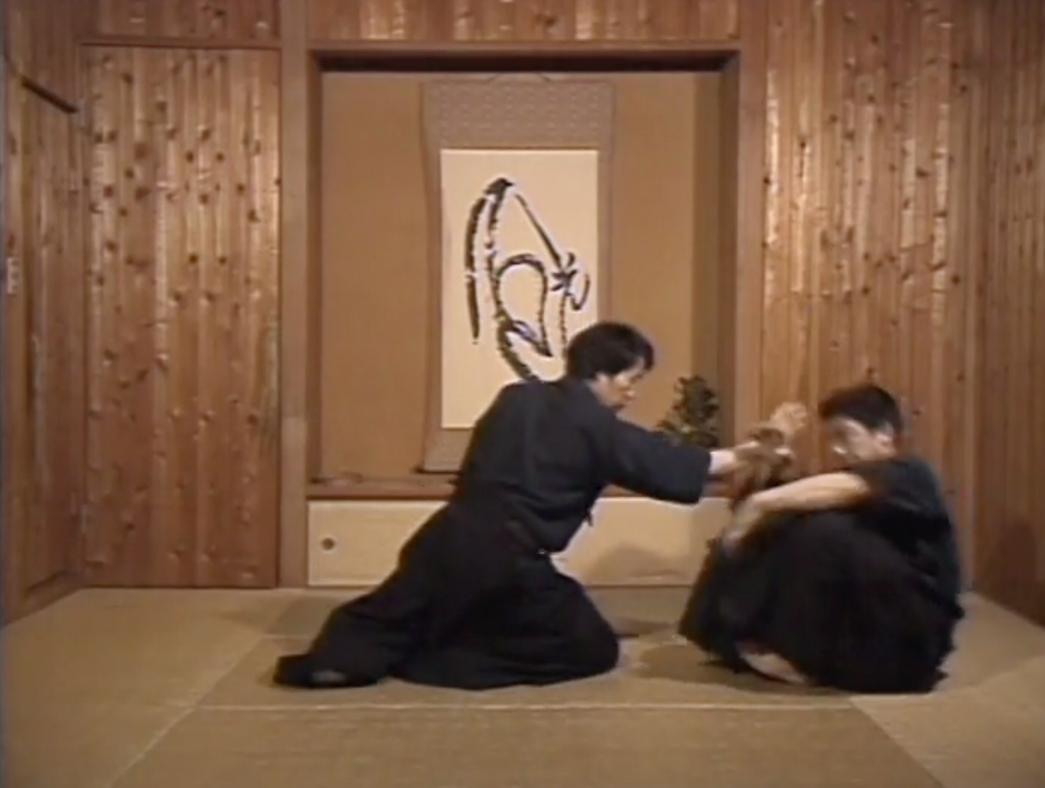 Shoseikan Martial Arts Techniques DVD by Yoshinori Kono (Preowned)