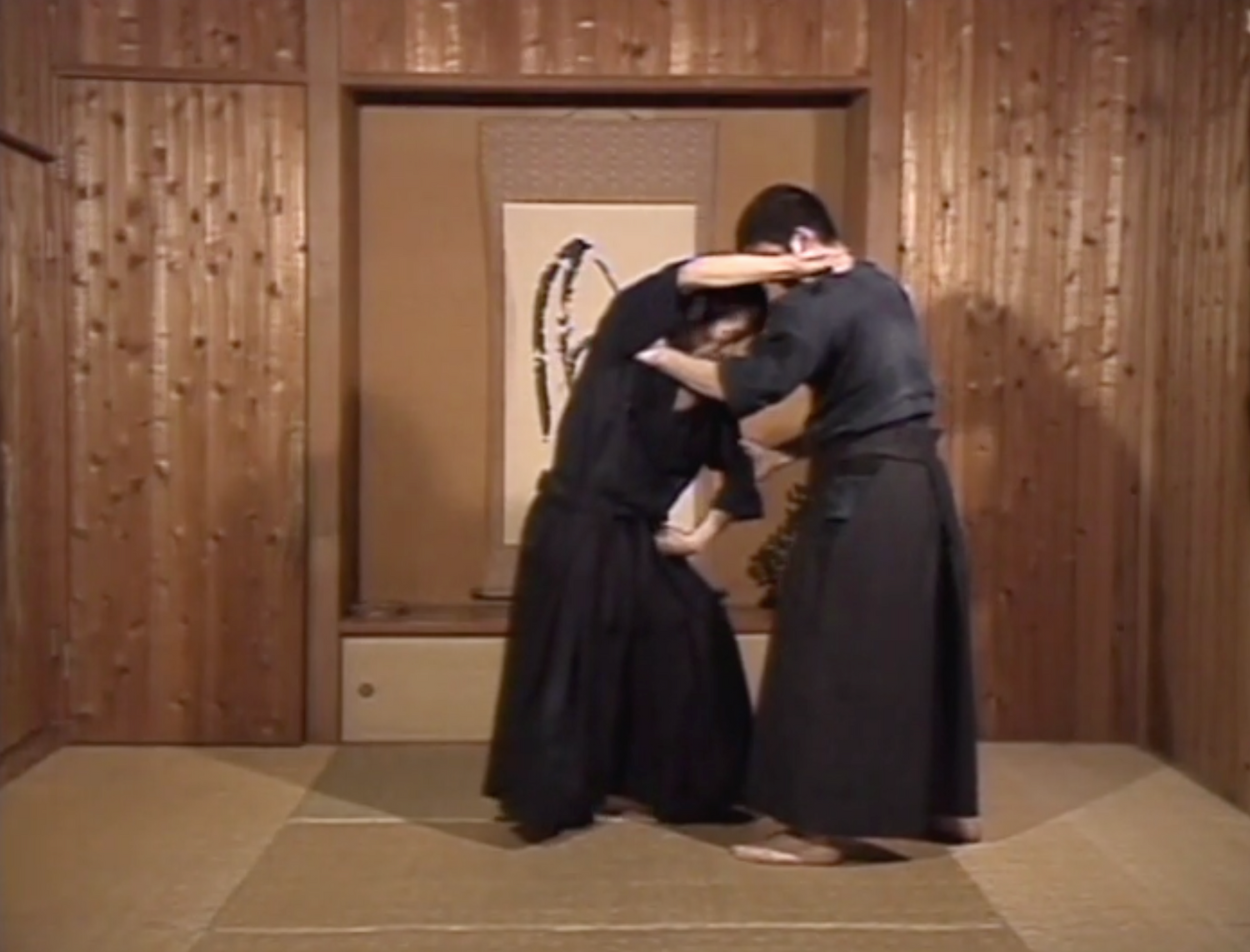 Shoseikan Martial Arts Techniques DVD by Yoshinori Kono (Preowned)