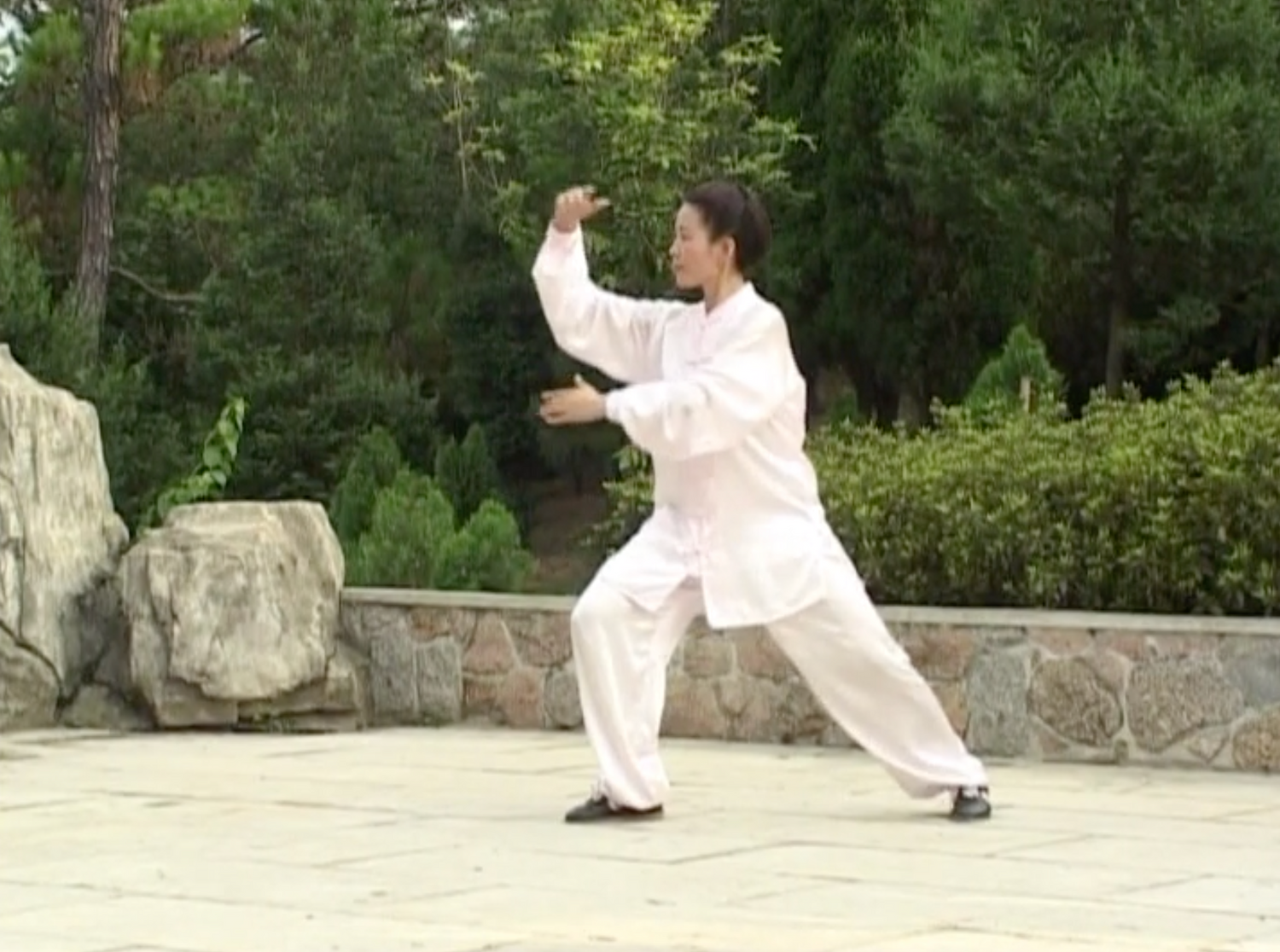 Yangs Tai Chi Traditional 85 Moves DVD by Li Huilin (Preowned)