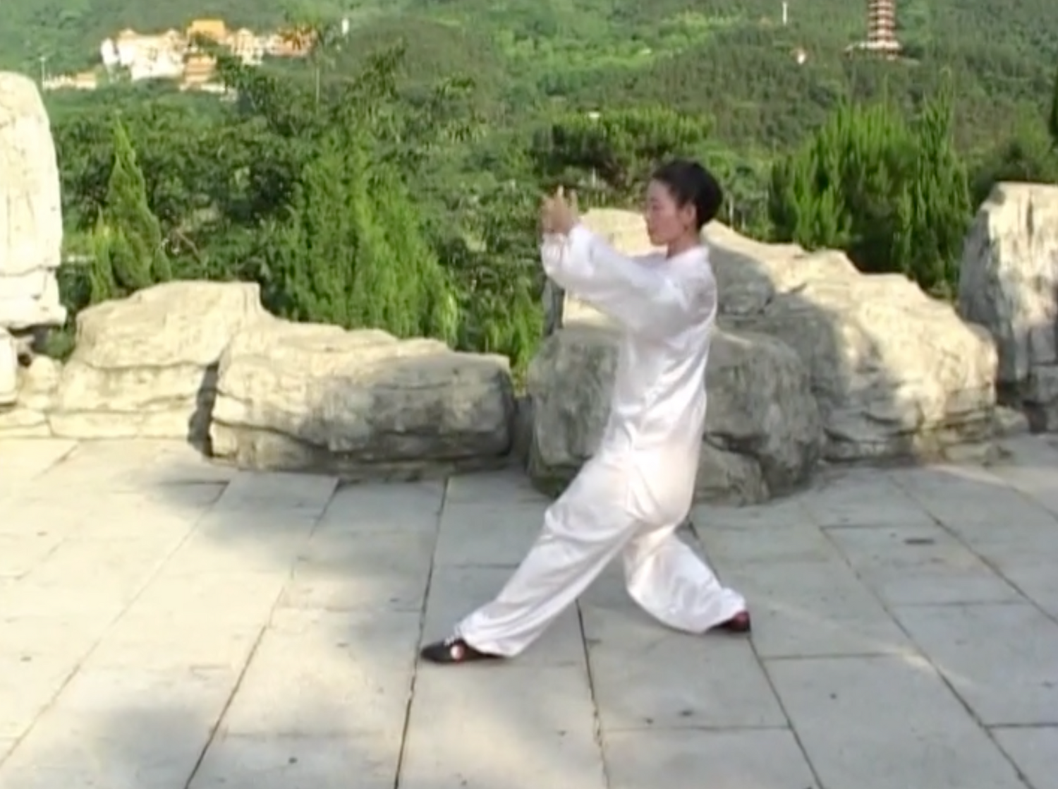Yangs Tai Chi Traditional 85 Moves DVD by Li Huilin (Preowned)
