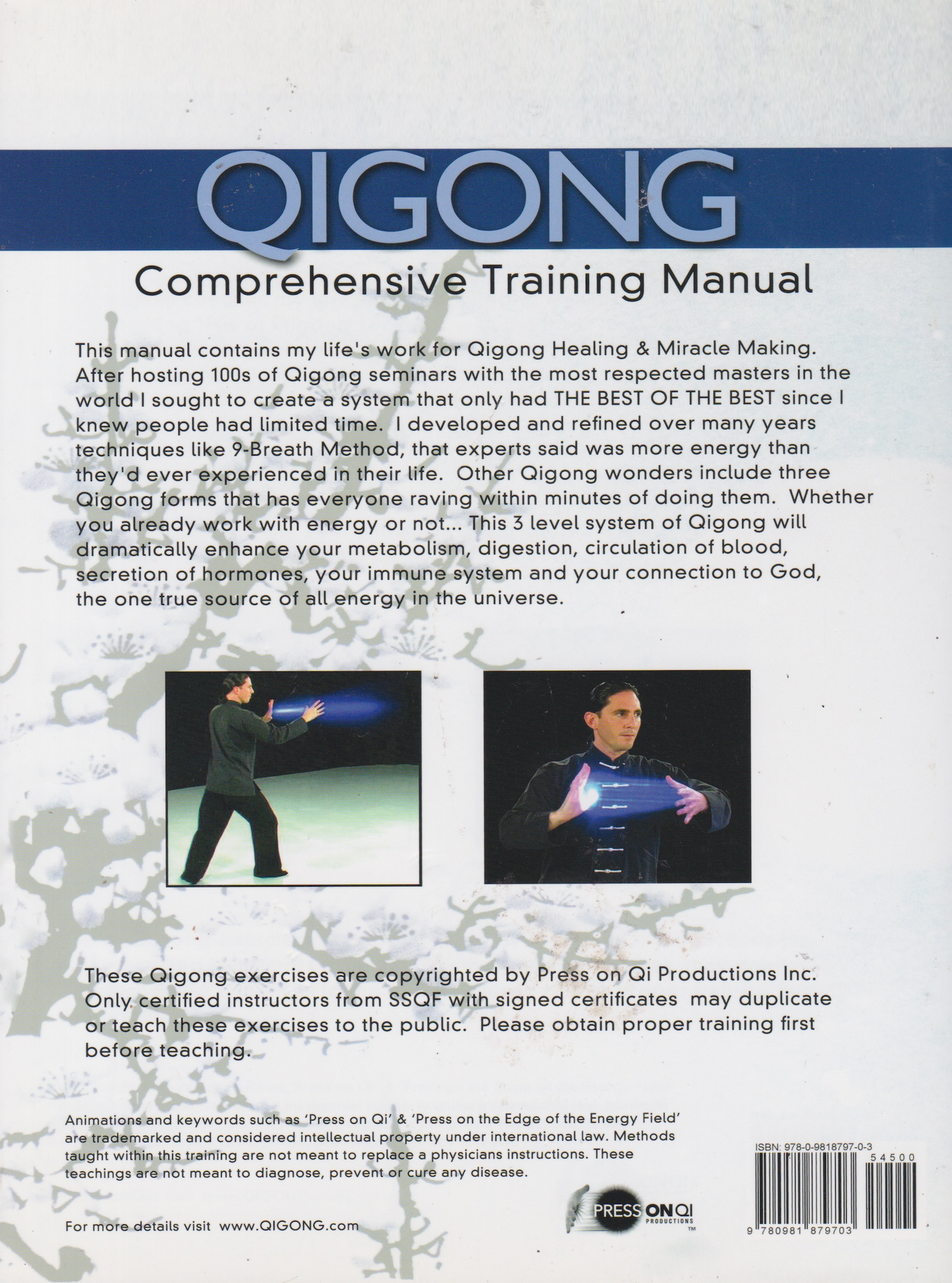 Qigong Comprehensive Training Manual Level 1-3 Book by Jeff Primack (Preowned)